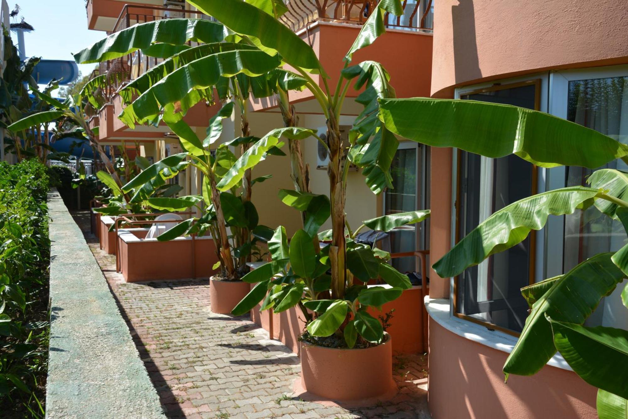 Yavuzhan Hotel Side Ruang foto