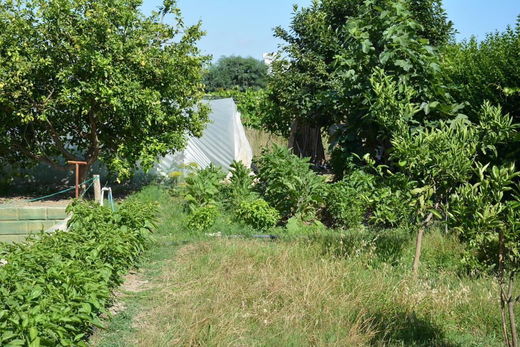 Yavuzhan Hotel Side Bagian luar foto